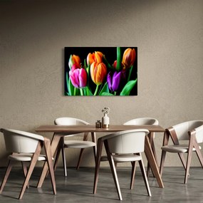 Obraz tulipánov na čiernom pozadí (90x60 cm)