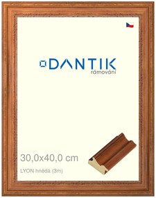 DANTIK rám na obraz 30x40 | LYON hnědá (Plexi Čiré)