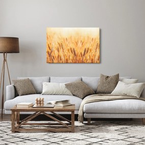 Obraz - pole s obilím (90x60 cm)
