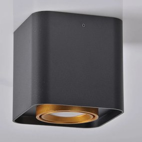 Povrchové stropné svietidlo EGER 1xGU10 Tuba Spot Square Moving Black and Gold GOLDLUX