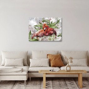 Obraz - Plameniaky (70x50 cm)