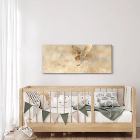 Obraz - Sova (120x50 cm)