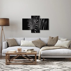 Obraz zebry (90x60 cm)