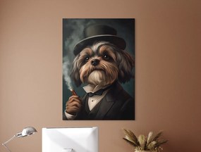 drevko |  Obraz Pán Shih Tzu v klobúku