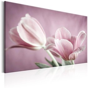 Artgeist Obraz - Romantic Tulips Veľkosť: 60x40, Verzia: Na talianskom plátne