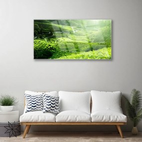 Obraz na akrylátovom skle Lúka príroda 100x50 cm