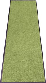 Rohožka Wash & Clean 101470 Green, 40x60, zelená, chodba / predsieň, Hanse Home