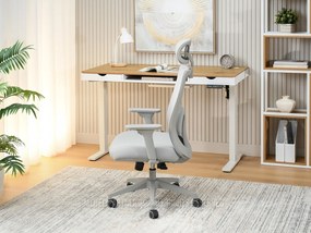 Kancelárske kreslo Artenegro (sivá). Akcia -30%. Vlastná spoľahlivá doprava až k Vám domov. 1136326