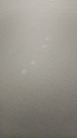 Doppler Gastro Magic Junior 240x240 cm bez volánu - záhradný slnečník - 2. akosti (S249)