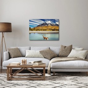 Obraz - Národný park Torres del Paine (70x50 cm)