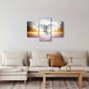 Obraz holubice (90x60 cm)