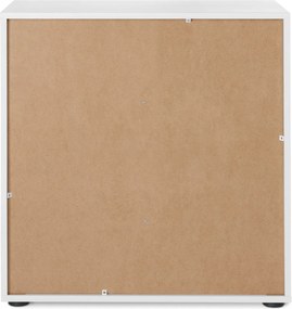 Regálový modul »Flemming«, cca 75 x 75 cm, so sklenenými dvierkami, biely