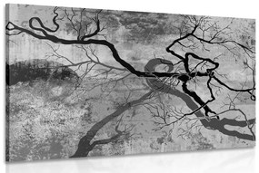 Obraz surrealistické stromy v čiernobielom prevedení - 120x80