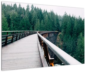 Obraz - Most k vrcholkom stromov (90x60 cm)