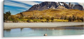 Obraz - Národný park Torres del Paine (120x50 cm)