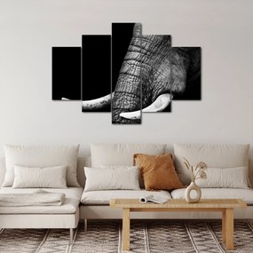 Obraz - Slonie kly (150x105 cm)