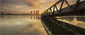Obraz móla (120x50 cm)