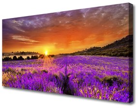 Obraz Canvas Západ slnka pole levanduľa 140x70 cm