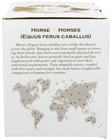 Porcelánový hrnček Horses 400 ml