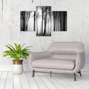 Obraz - Vlk v temnom lese (90x60 cm)