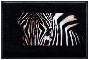 Elegantná premium rohožka- zebra (Vyberte veľkosť: 75*50 cm)