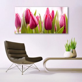 Obraz plexi Tulipány kvety rastlina 120x60 cm