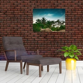 Sklenený obraz - palmy (70x50 cm)