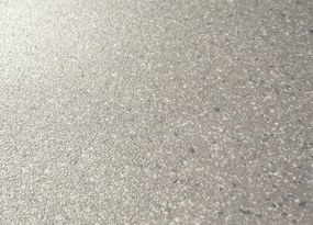 Beaulieu International Group, PVC podlaha - lino Master X 2979, na mieru, šíře 2m,4m, šedá, pvc, chodba / predsieň