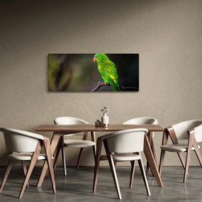 Obraz papagája na vetve (120x50 cm)