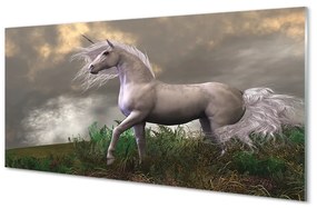 Obraz plexi Unicorn mraky 100x50 cm