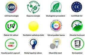 Diolamp Retro LED Filament zrkadlová žiarovka 4W/230V/E27/2700K/400Lm/180°/DIM, zlatý vrchlík