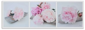Gario Obraz na plátne Ružové kvety pivonky Rozmery: 120 x 40 cm