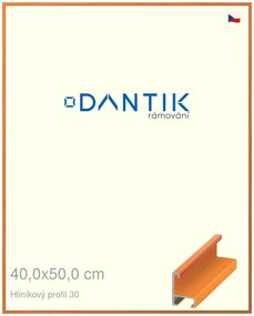 DANTIK rám na obraz 40x50 | ALU Dýha barevná oranžová (Plexi Čiré)
