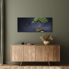 Obraz - Bonsai (120x50 cm)