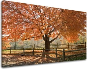 Obraz na stenu STROMY