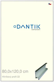 DANTIK rám na obraz 80x120 | ALU Stříbrná matná (Plexi Čiré)