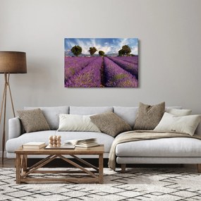 Obraz - Levanduľové pole a hory (90x60 cm)