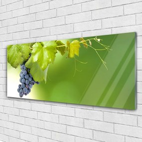 Obraz plexi Hrozno listy kuchyňa 125x50 cm