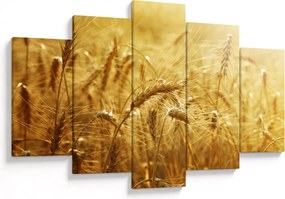 Obraz - Klasy obilia (150x105 cm)
