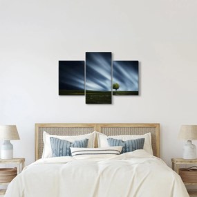 Obraz polárna žiara nad vresoviskom (90x60 cm)