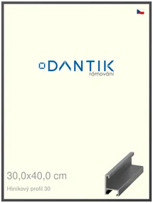 DANTIK rám na obraz 30x40 | ALU Dýha barevná šedá tmavá (Plexi Čiré)