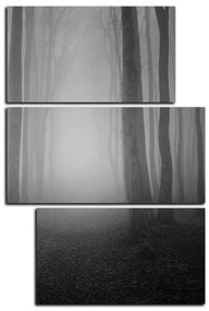 Obraz na plátne - Hmla v lese - obdĺžnik 7182QD (120x80 cm)