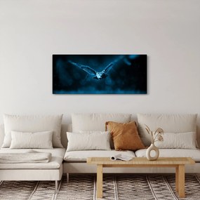 Obraz letiacej sovy (120x50 cm)