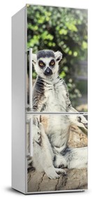 Samolepiace nálepka na chladničku stenu Lemur FridgeStick-70x190-f-75982744