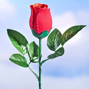 Hovoriaca narodeninová ruža Dĺžka 33 cm