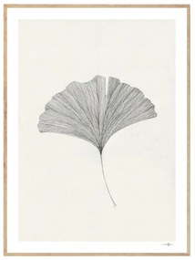 THE POSTER CLUB Autorský plagát Ginkgo Leaf by Ana Frois 30x40 cm