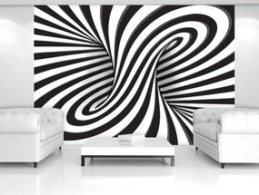 Fototapeta - Biele a čierne 3D krúženie (254x184 cm)