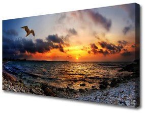 Obraz na plátne Čajka more pláž krajina 100x50 cm