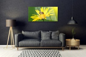 Skleneny obraz Osa kvet rastlina príroda 140x70 cm