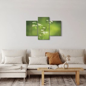 Obraz Sedmokrásky (90x60 cm)